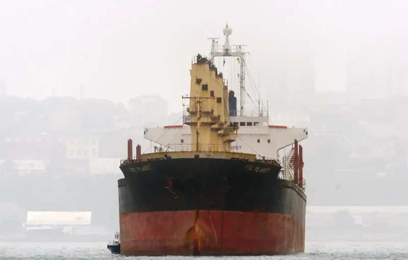 VTC PLANET Bulk Carrier IMO 9060730 photo 10
