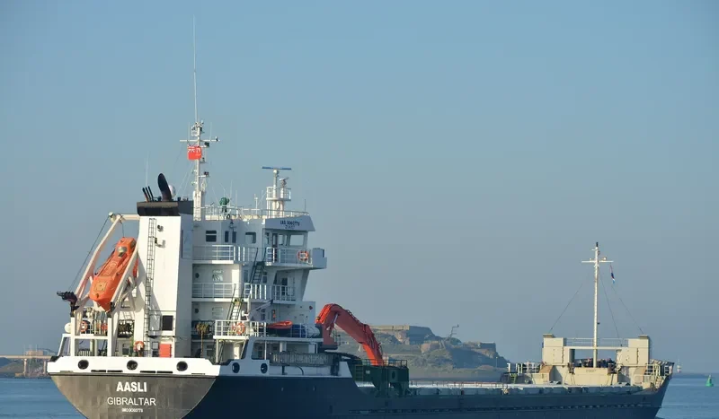 AASLI General Cargo IMO 9060778 photo 6