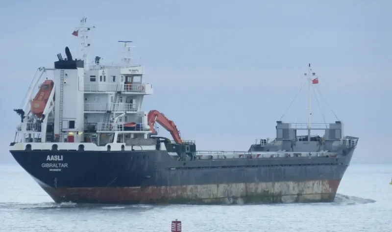 AASLI General Cargo IMO 9060778 photo 9