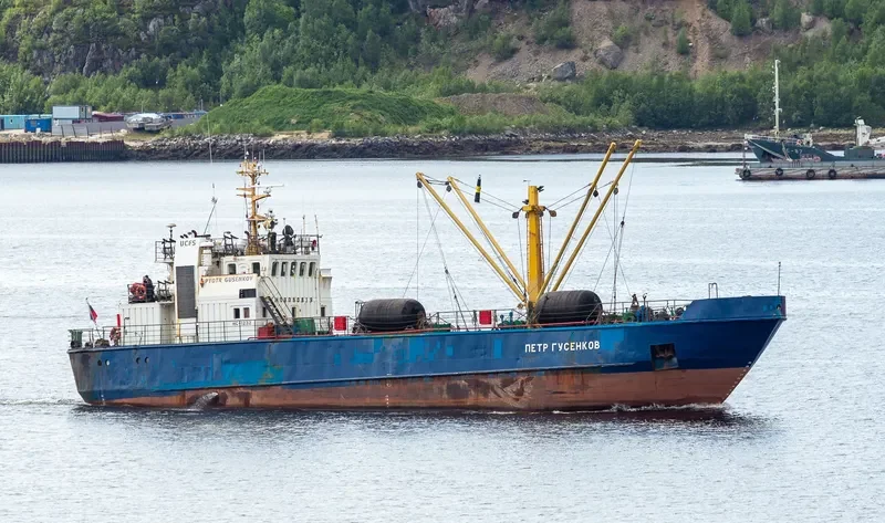 PYOTR GUSENKOV General Cargo IMO 9060819 photo 6