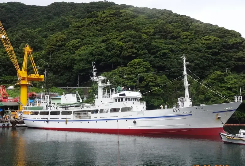 AVA General Cargo IMO 9061100