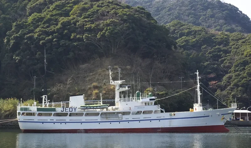 AVA General Cargo IMO 9061100 photo 2