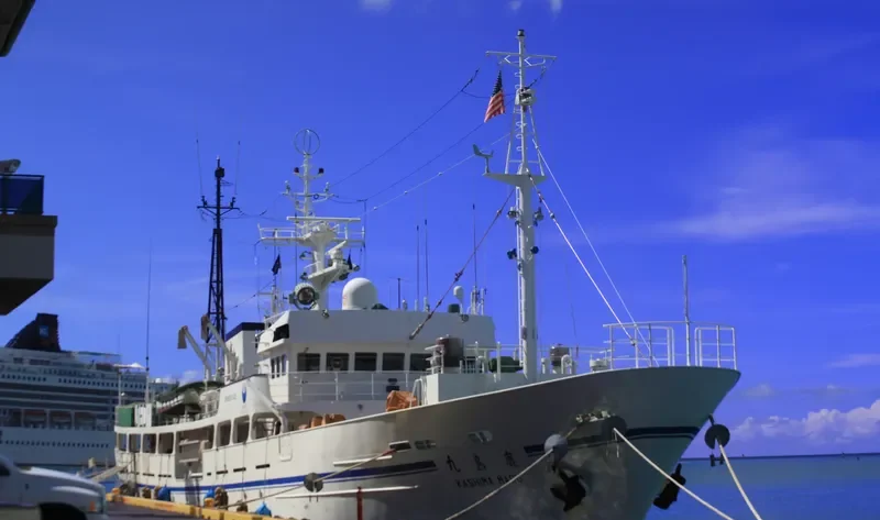 AVA General Cargo IMO 9061100 photo 6