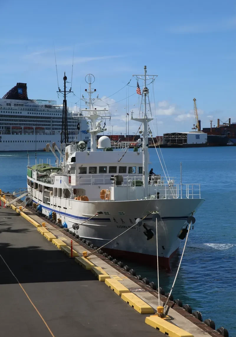 AVA General Cargo IMO 9061100 photo 7