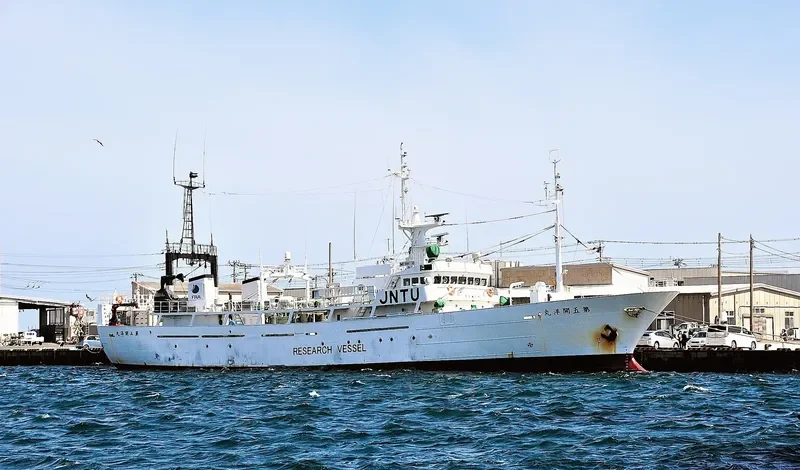 N0.5 KAIYO MARU General Cargo IMO 9061150 photo 4