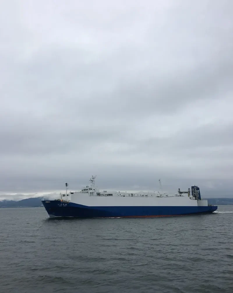 PEARL ASIA General Cargo IMO 9061162 photo 3