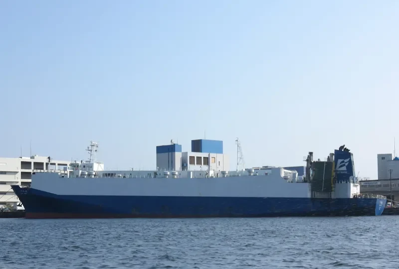 PEARL ASIA General Cargo IMO 9061162 photo 5