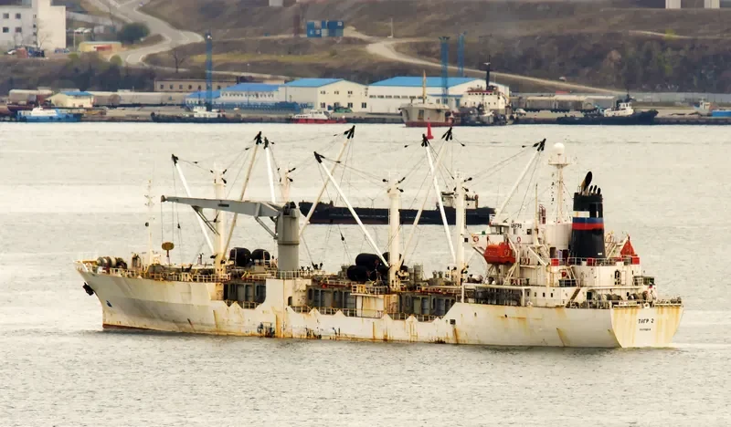 TIGR 2 General Cargo IMO 9061198