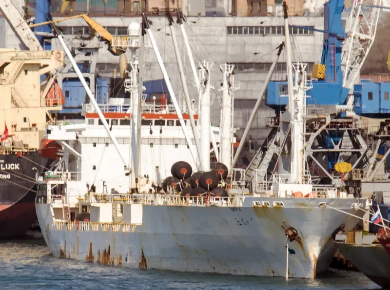 TIGR 2 General Cargo IMO 9061198 photo 3