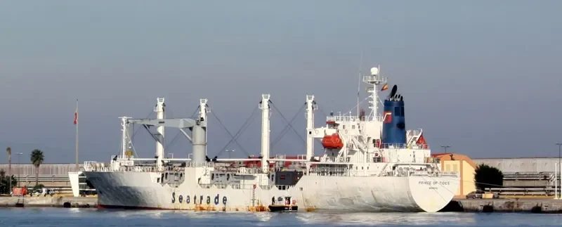 TIGR 2 General Cargo IMO 9061198 photo 5