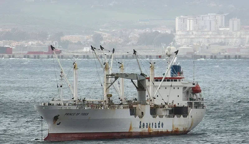 TIGR 2 General Cargo IMO 9061198 photo 7