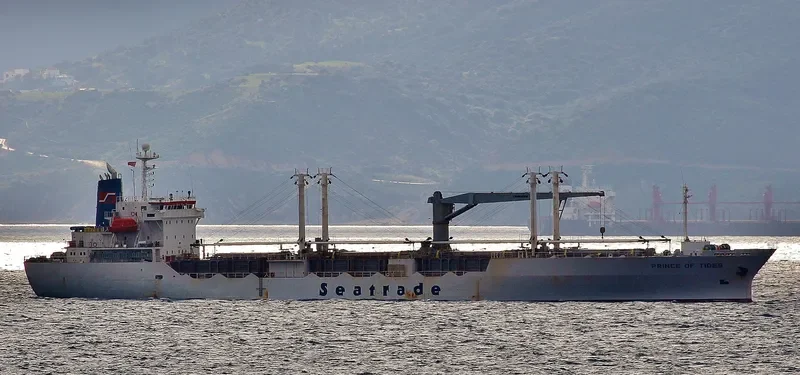 TIGR 2 General Cargo IMO 9061198 photo 10