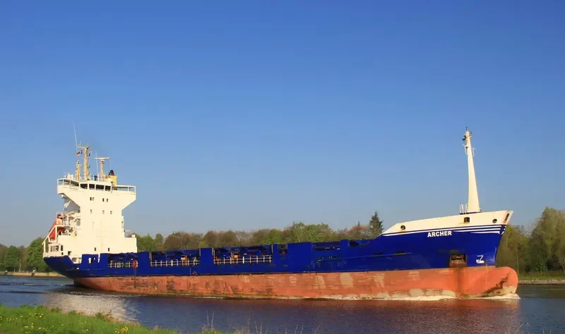 ARCHERFISH Container Ship IMO 9061265 photo 2