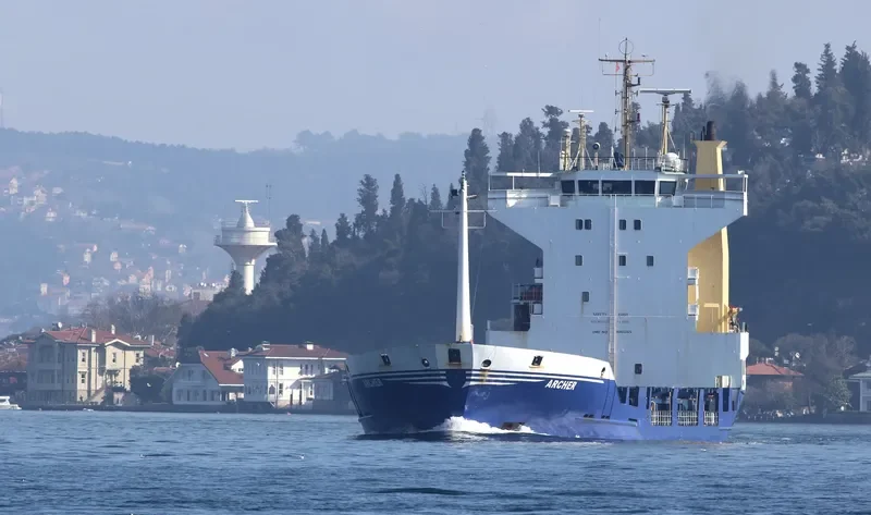 ARCHERFISH Container Ship IMO 9061265 photo 6