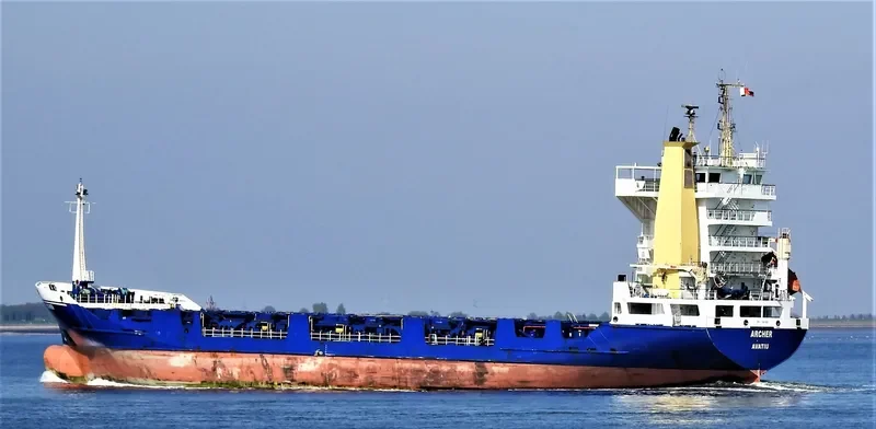 ARCHERFISH Container Ship IMO 9061265 photo 7