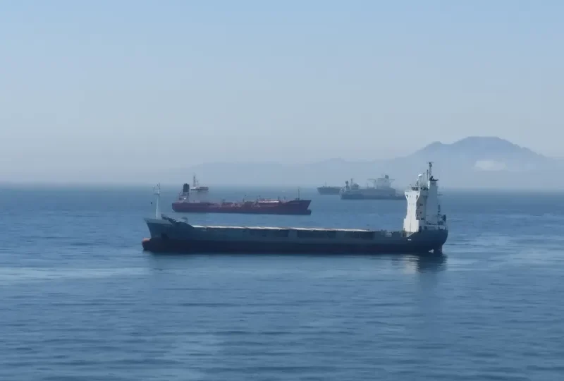 ANNA G. Container Ship IMO 9061291 photo 7