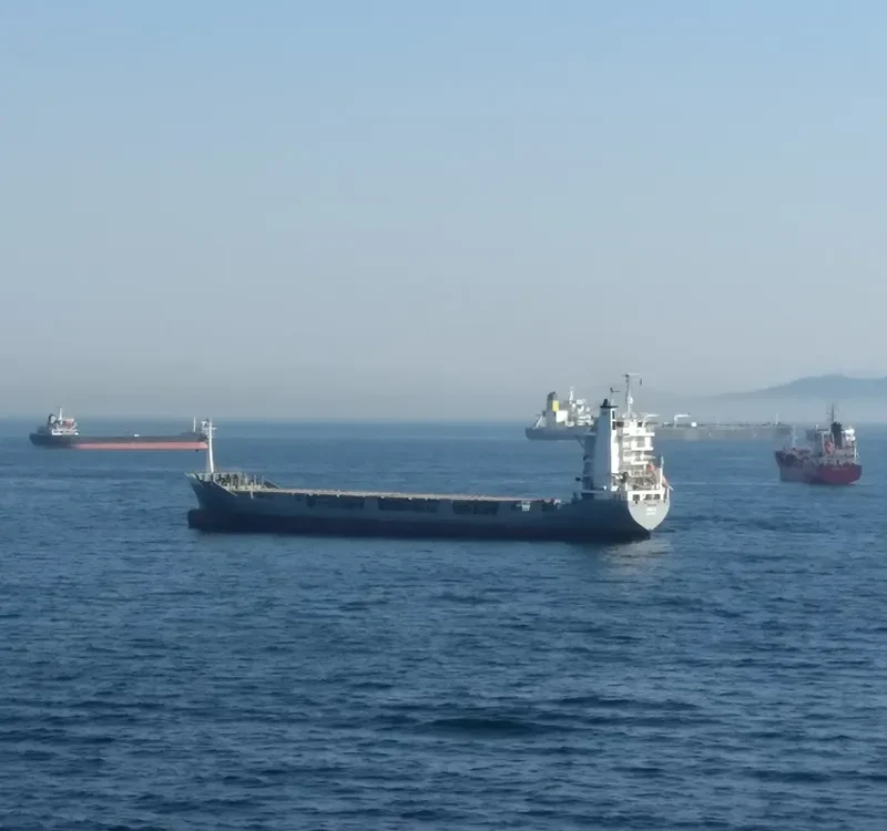 ANNA G. Container Ship IMO 9061291 photo 8