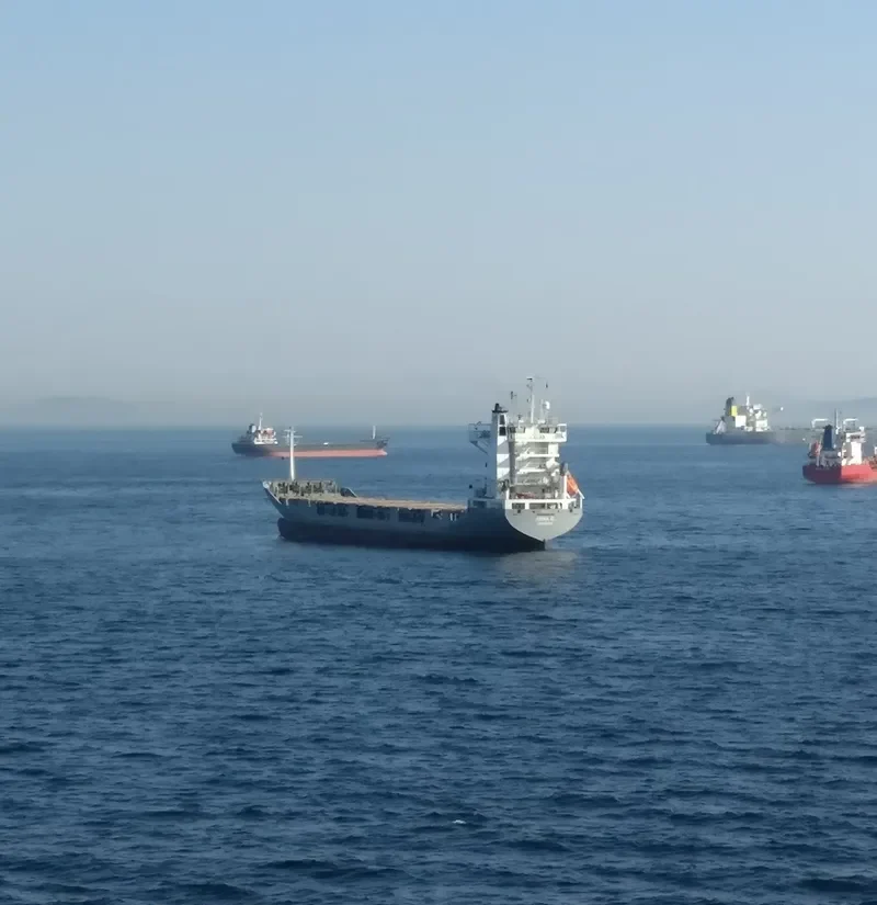ANNA G. Container Ship IMO 9061291 photo 9