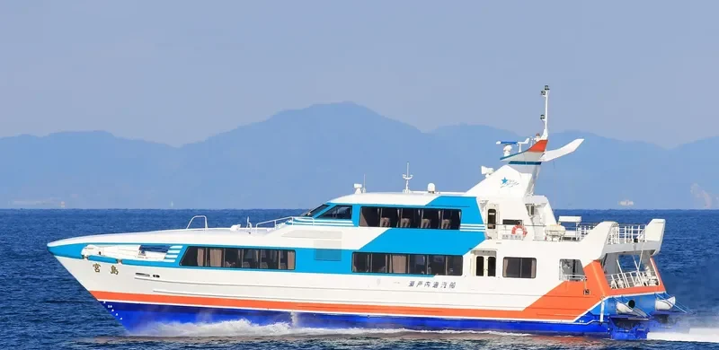 MIYAJIMA Passenger Ship IMO 9061538 photo 2
