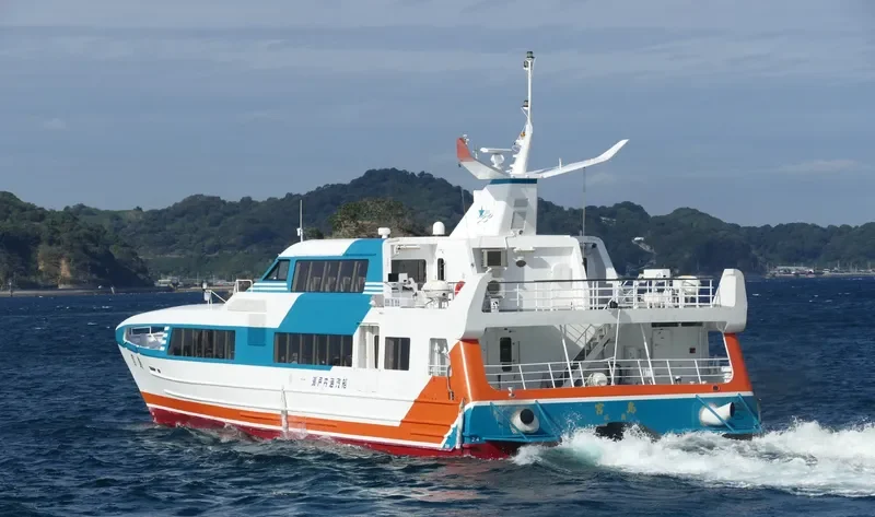 MIYAJIMA Passenger Ship IMO 9061538 photo 8