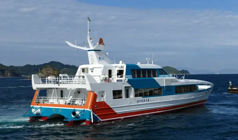 MIYAJIMA Passenger Ship IMO 9061538 photo 9