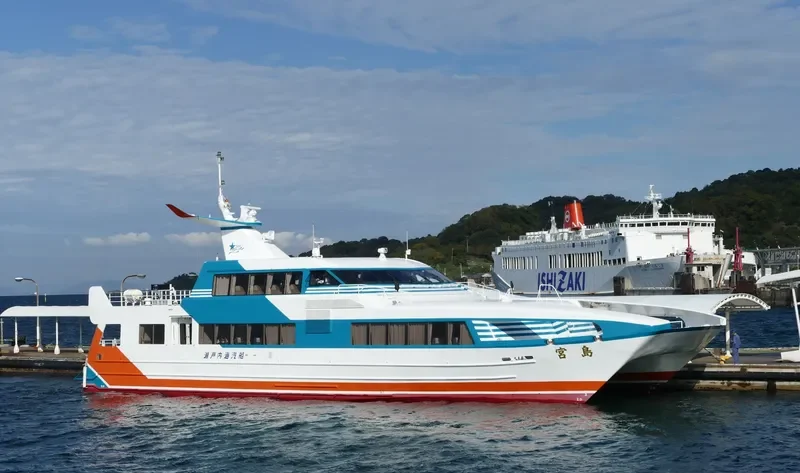 MIYAJIMA Passenger Ship IMO 9061538 photo 10