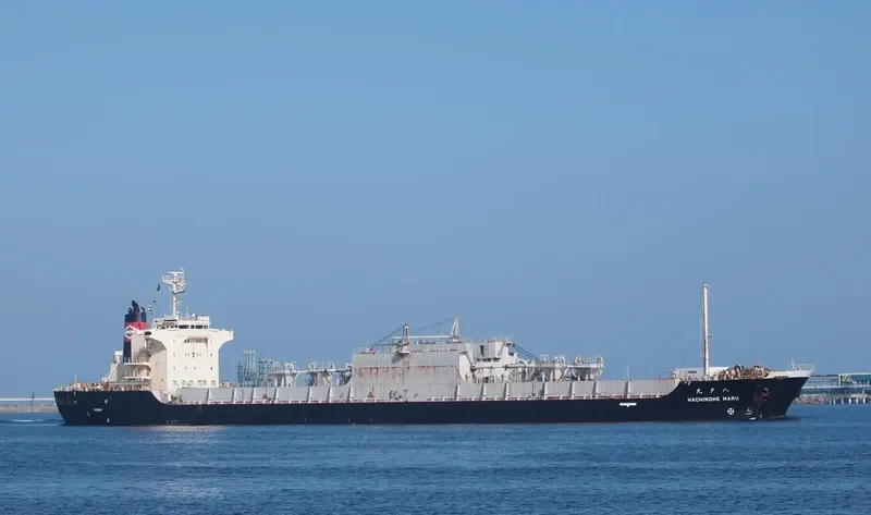 HACHINOHE MARU Bulk Carrier IMO 9061540 photo 5