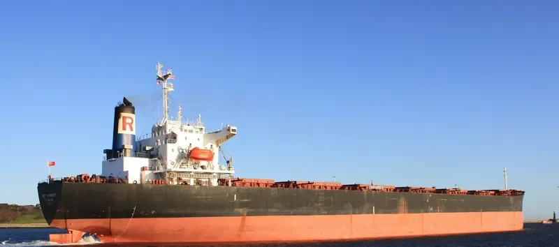 WELL DEEP Bulk Carrier IMO 9061564 photo 3