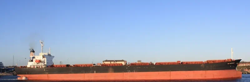 WELL DEEP Bulk Carrier IMO 9061564 photo 4
