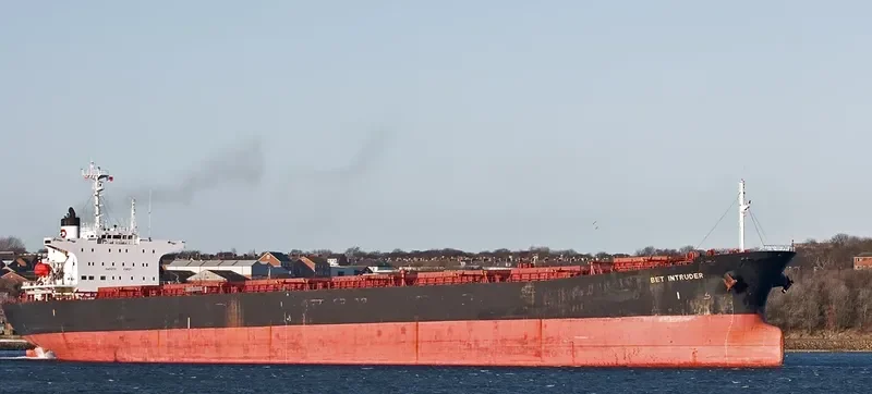 WELL DEEP Bulk Carrier IMO 9061564 photo 5