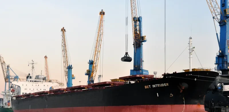 WELL DEEP Bulk Carrier IMO 9061564 photo 6