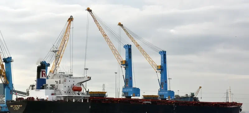 WELL DEEP Bulk Carrier IMO 9061564 photo 7