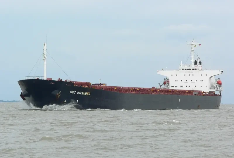WELL DEEP Bulk Carrier IMO 9061564 photo 10