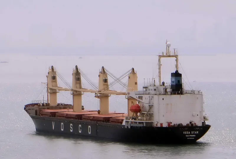 VEGA STAR Bulk Carrier IMO 9061588 photo 2