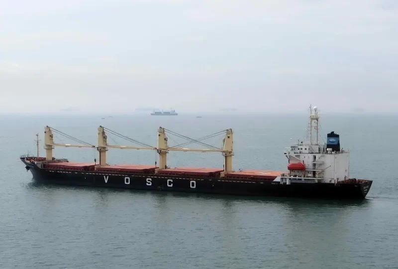 VEGA STAR Bulk Carrier IMO 9061588 photo 3