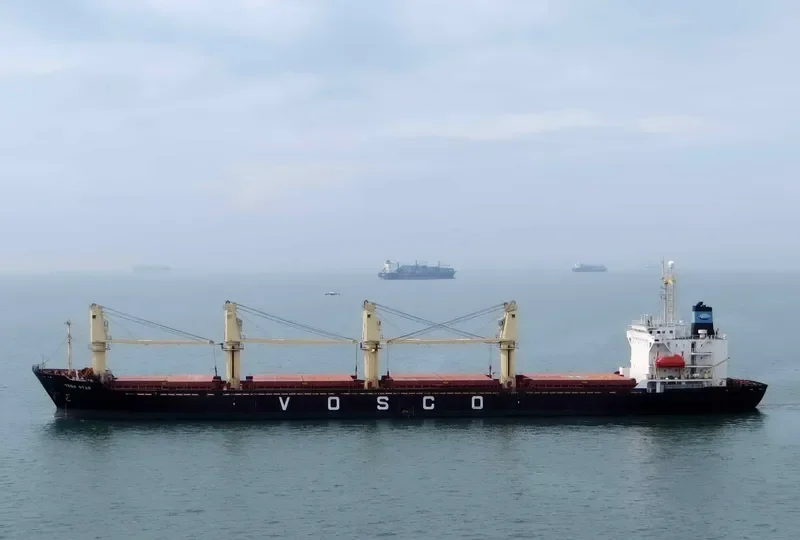 VEGA STAR Bulk Carrier IMO 9061588 photo 4