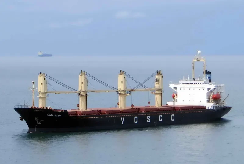 VEGA STAR Bulk Carrier IMO 9061588 photo 5