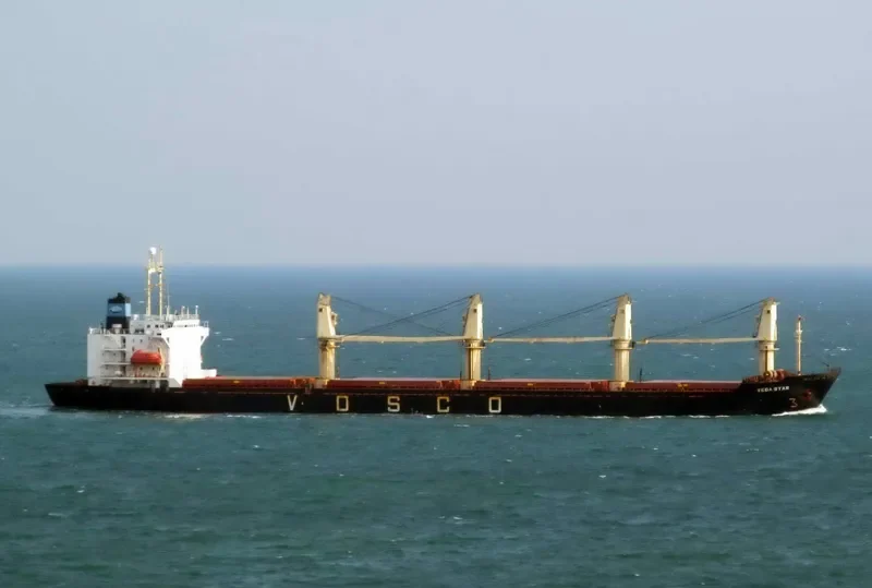 VEGA STAR Bulk Carrier IMO 9061588 photo 8