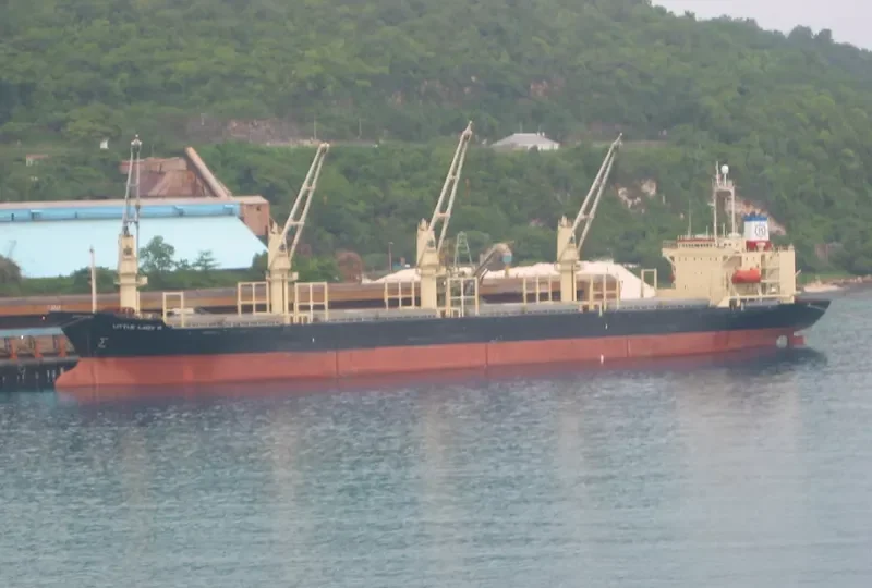 VEGA STAR Bulk Carrier IMO 9061588 photo 10