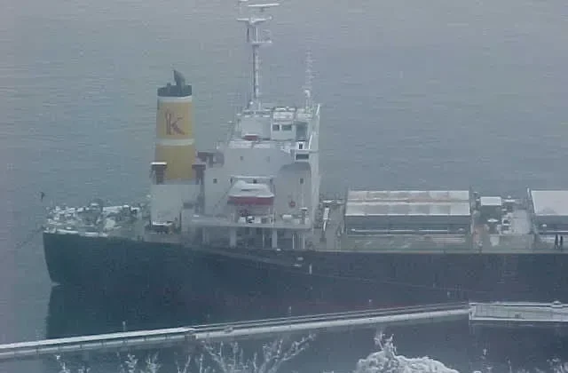 KARUNIA Bulk Carrier IMO 9061887 photo 2