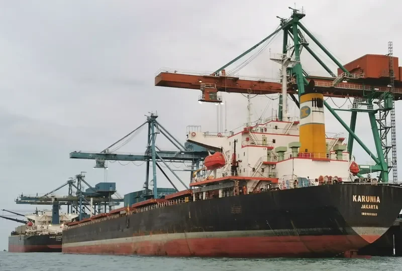 KARUNIA Bulk Carrier IMO 9061887 photo 3