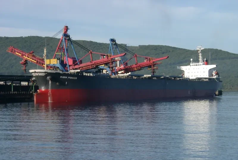 KARUNIA Bulk Carrier IMO 9061887 photo 4