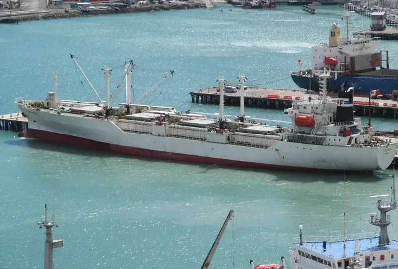 CRYSTAL AMAZONIA General Cargo IMO 9061904