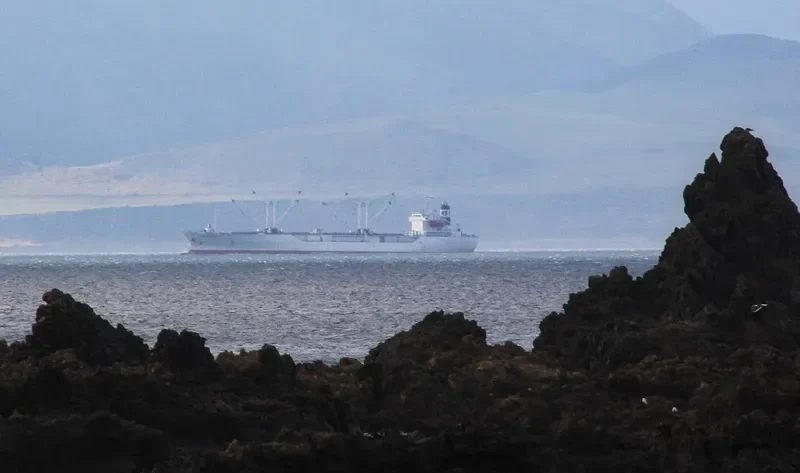 CRYSTAL AMAZONIA General Cargo IMO 9061904 photo 6