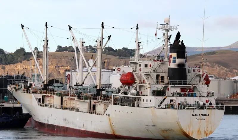 CRYSTAL AMAZONIA General Cargo IMO 9061904 photo 7