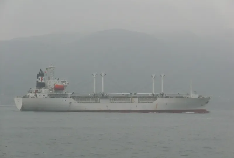 CRYSTAL AMAZONIA General Cargo IMO 9061904 photo 10