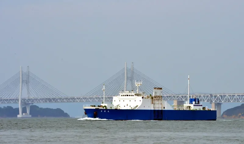 SHIRYU MARU General Cargo IMO 9061916 photo 2