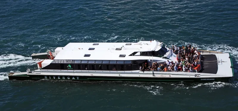 EVONNE GOOLAGONG Passenger Ship IMO 9062049