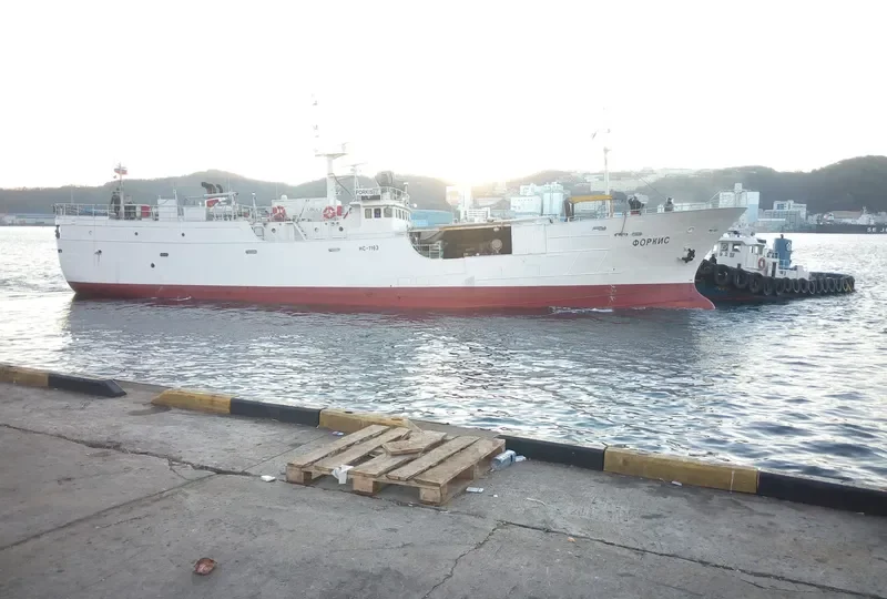 FORKIS General Cargo IMO 9062178