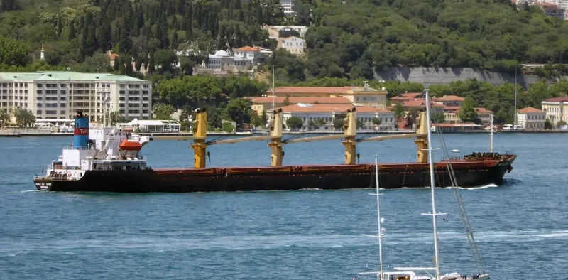 HACI ALI SARI Bulk Carrier IMO 9062295 photo 3